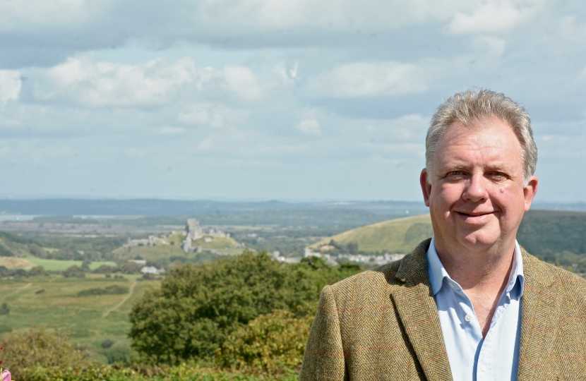 Out in the Community - Overlooking Corfe